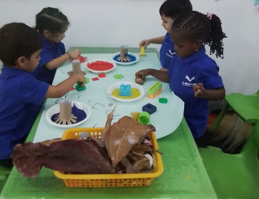 Art Week